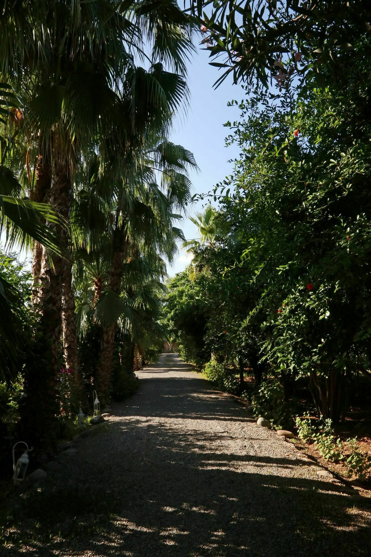 Le Bled Ferme Bed & Breakfast Marrakesh Exterior photo